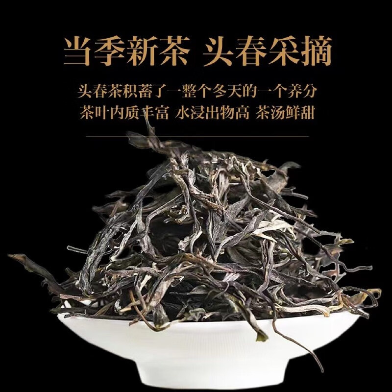 滇南记 双十一底价购冰岛早春普洱生茶云南生普洱茶古树普尔春茶新茶散茶