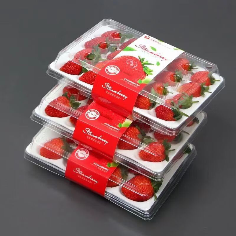 钱小二 新鲜 99草莓 9盒/每盒24粒 92元（需用券）