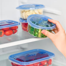 ASVEL 阿司倍鹭 日本ASVEL进口保鲜盒冰箱收纳盒整理冷冻储物食品蔬菜水果储