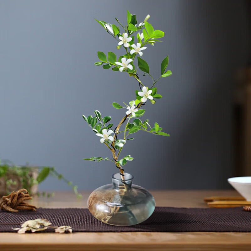 临雅 九里香水培植物室内好养花卉绿植盆栽桌面高端七里香摆件无土懒人 