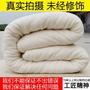 纤惟 新疆棉花被 纯手工加厚冬被被芯 5斤 39元包邮