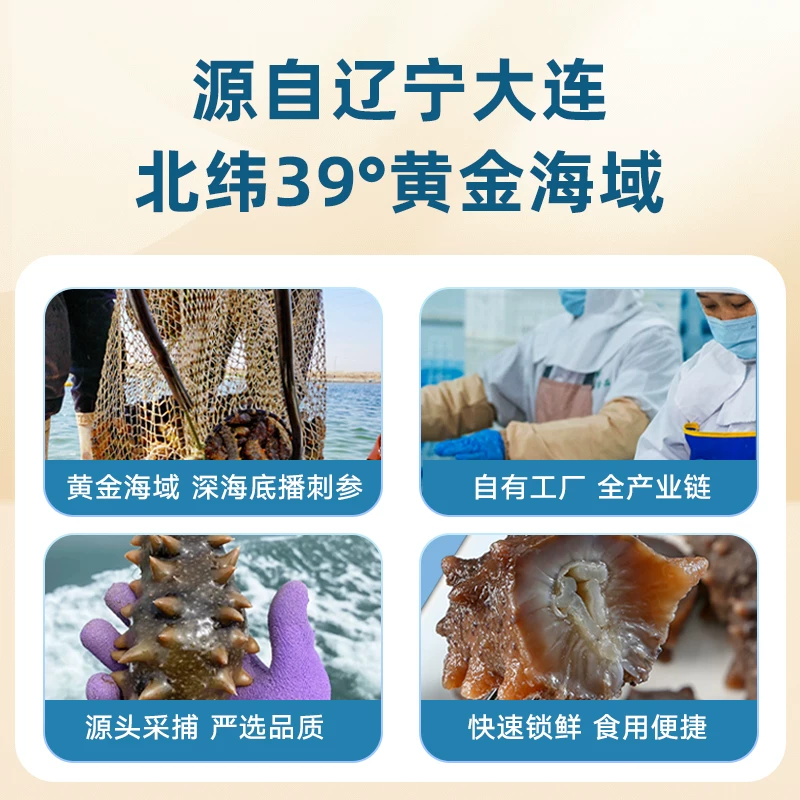 长辽海参 即食辽刺参 141.55元 - 线报酷