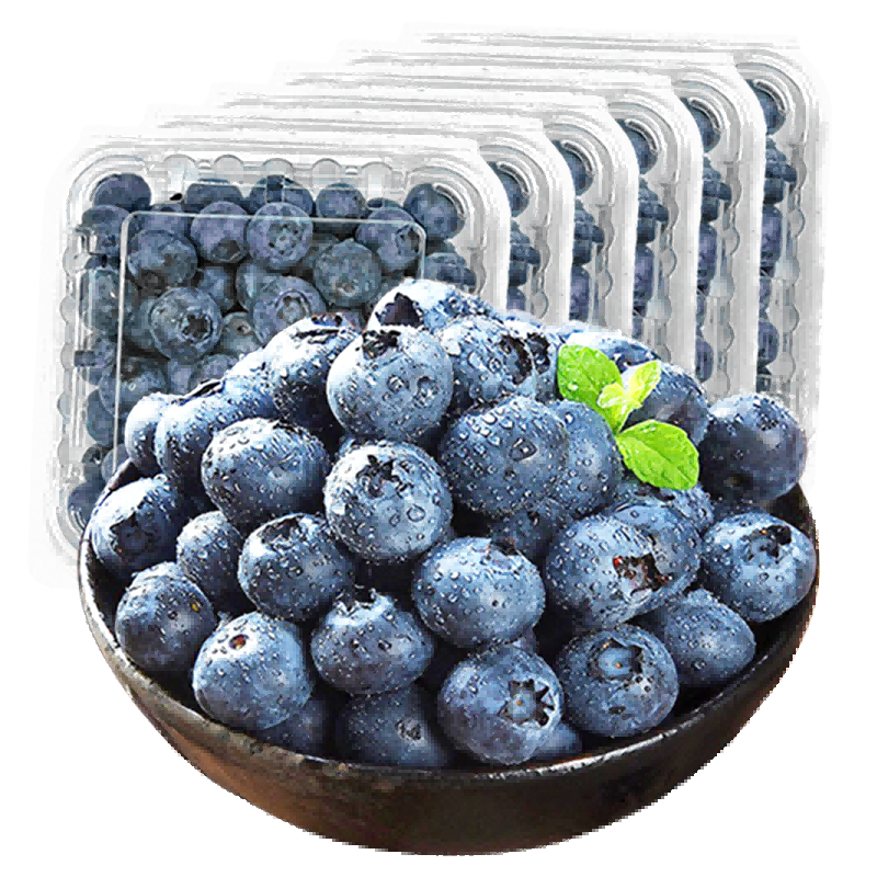 觅鲜探长国产新鲜大蓝莓当季蓝莓水果生鲜整盒非怡颗 单果12-16mm 6盒装 125g 