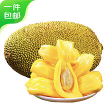 农锦鲜 海南菠萝蜜 一个装25-30斤新鲜水果 59.57元需凑单、PLUS会员