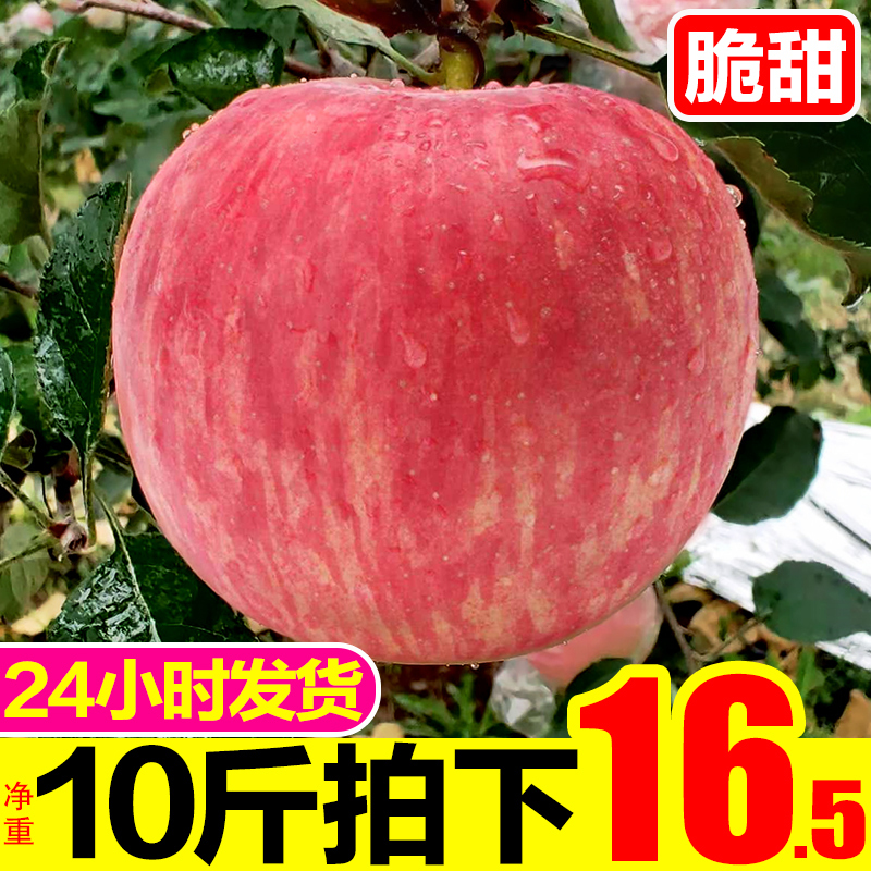 ￥17.8 红富士苹果水果10斤包邮陕西应季现季带箱批脆甜新鲜当季整箱平果