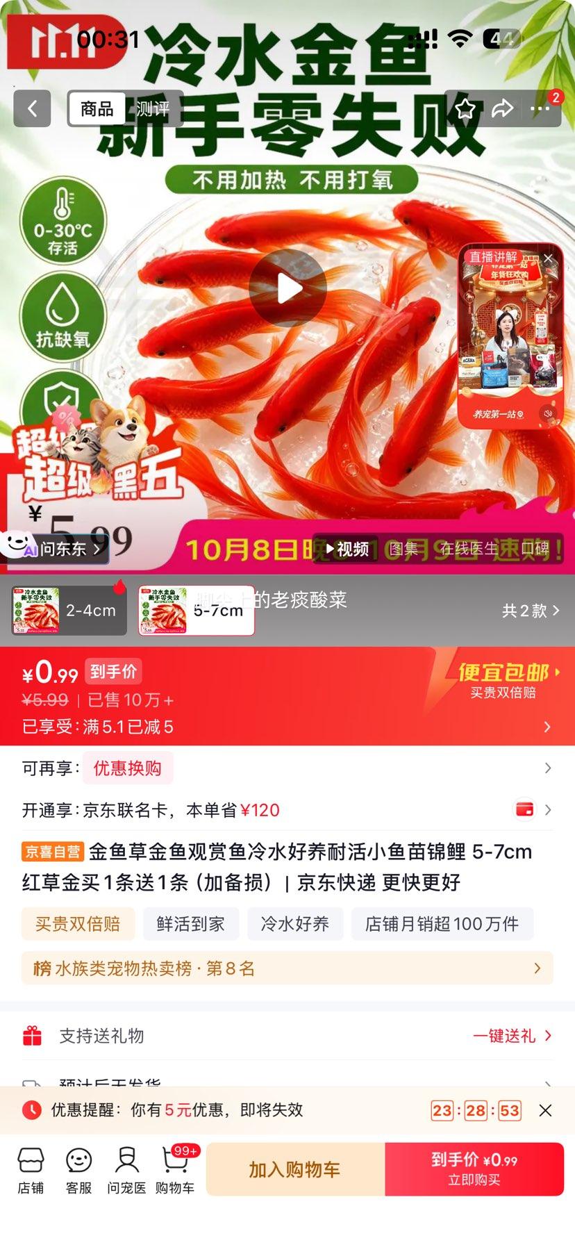 金鱼草观赏鱼 5-7cm 红草金 买1送1共2条 0.99元 包邮 - 线报酷