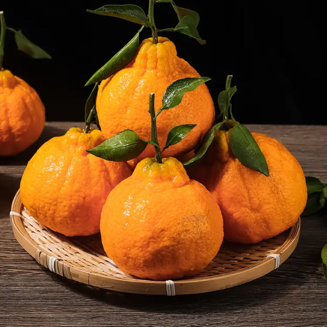 京鲜生 四川不知火丑橘 净重5斤 单果220g+ 18.47元（需买3件，需用券）