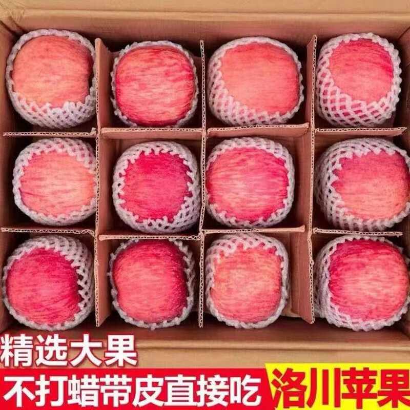 正宗陕西洛川红富士苹果 净重8.5- 9斤 大果 果径80-90mm 66.8元（需用券）