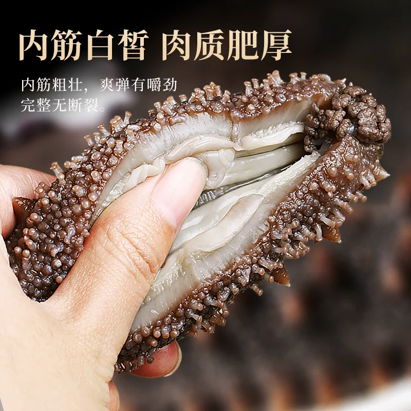 鲜驰 海参即食刺鲜活淡干海渗辽宁大连瓦房店正品干货海生500g特价装袋 79.9元 - 线报酷