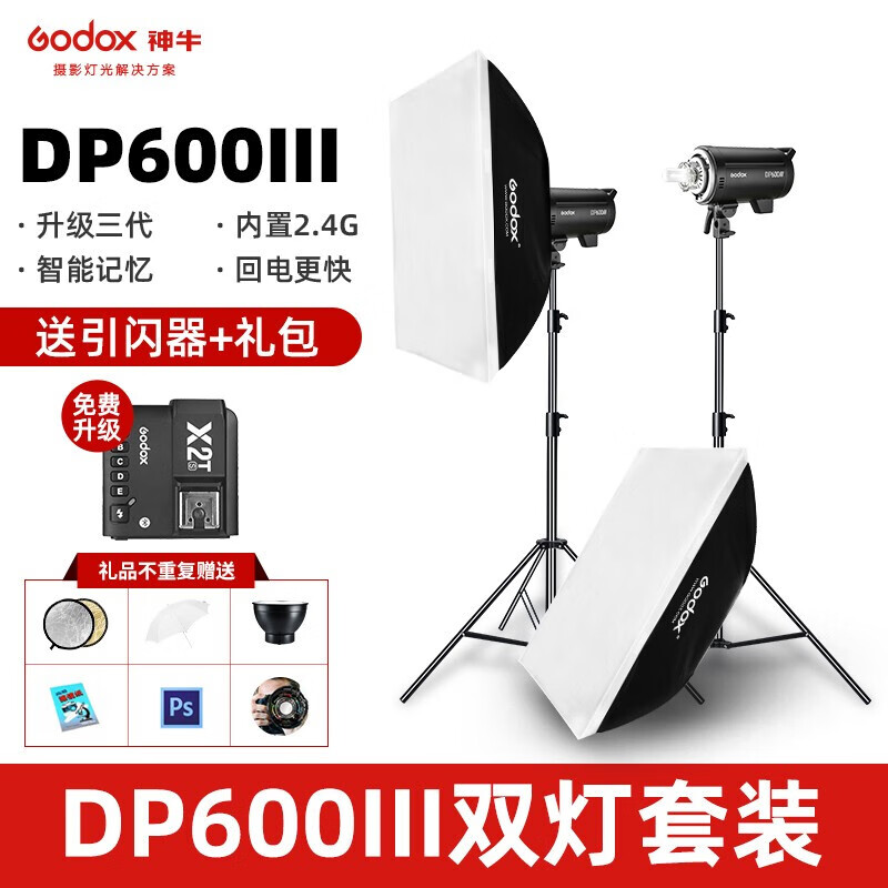 Godox 神牛 DP600III闪光灯600w三代影棚灯补光摄影灯 两灯套装(送X2引闪器+大礼