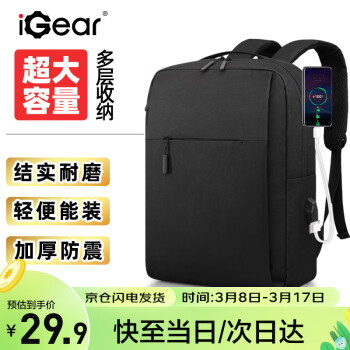 iGear 双肩包16英寸笔记本电脑包书包通勤旅行商务背包黑色 ￥29.9