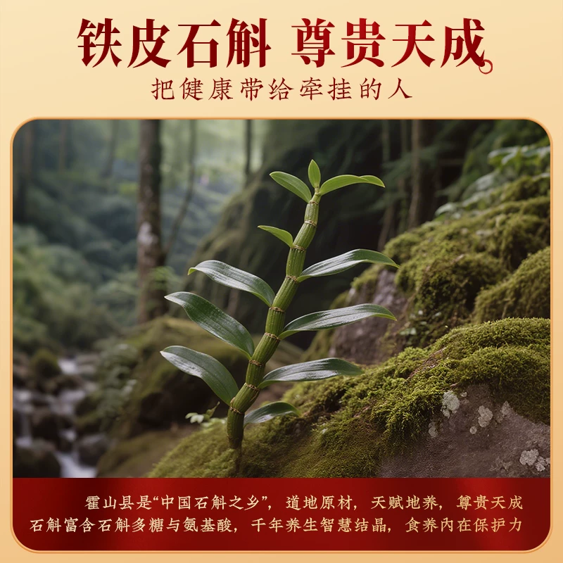 九阳豆浆 铁皮石斛八珍食养豆浆粉 480g 12.9元 - 线报酷