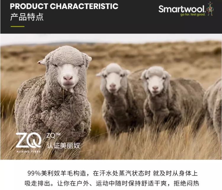 亚马逊销冠！Smartwool 美利奴羊毛 250系列 男士防寒保暖贴身层羊毛长裤 6362 550.41元（天猫折后1109元） 买手党-买手聚集的地方