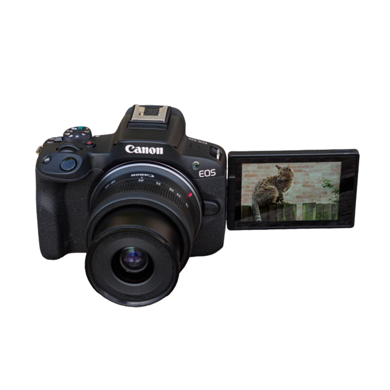 Canon 佳能 EOS R50 APS-C画幅 微单相机 黑色 RF-S18-45mm F4.5-6.3 IS STM 单头套机 5167