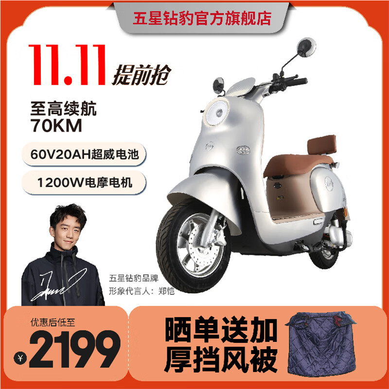 ZUB 五星钻豹 电动自行车 60V20AH ZB1200DT ￥2199