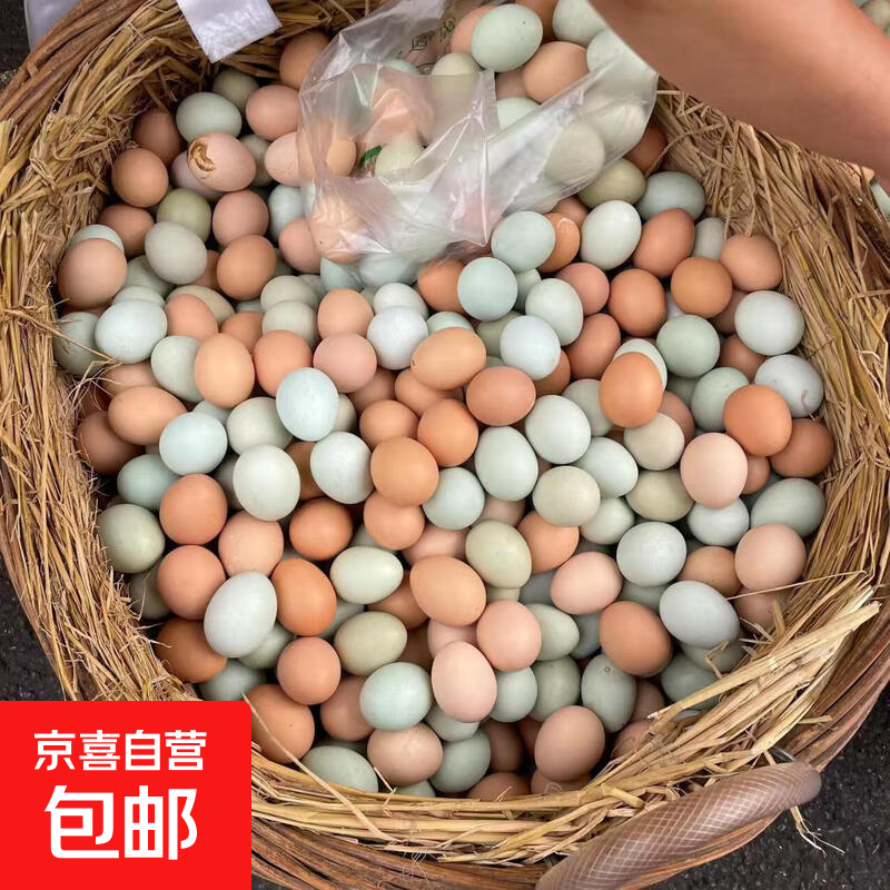 京东 九华山林间绿壳乌鸡蛋混合装新鲜宝宝营养蛋整箱35-45g 50枚（25枚土鸡
