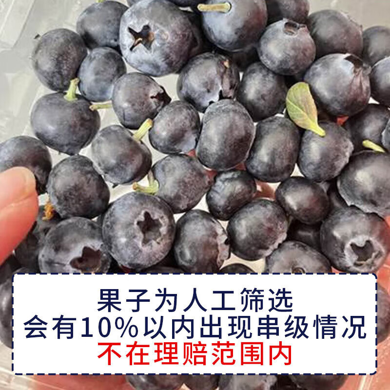 京丰味 云南花香蓝莓 15mm+ 100-125g/盒 4盒 12.3元（需用券）