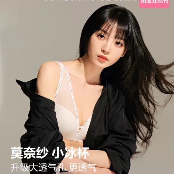 VICTORIA'S SECRET 维多利亚的秘密 维密 全新小冰杯4.0性感网纱凉感透气薄款文