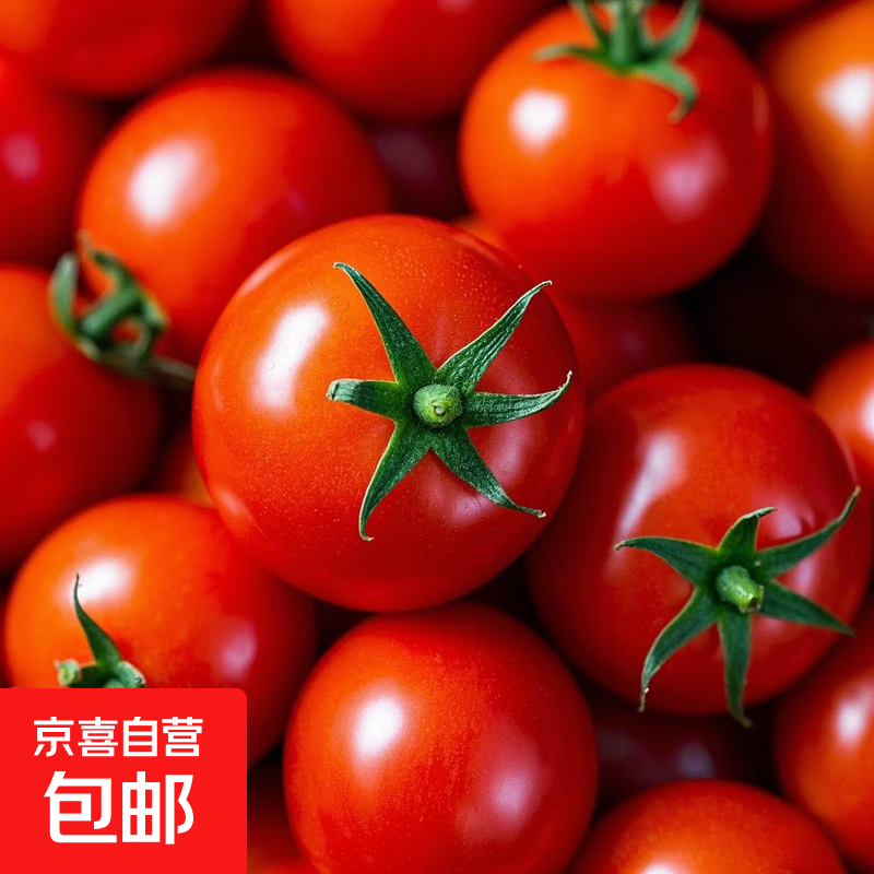 小番茄 新鲜水果沙拉 圣女果 精选3斤 8.9元(需领券)