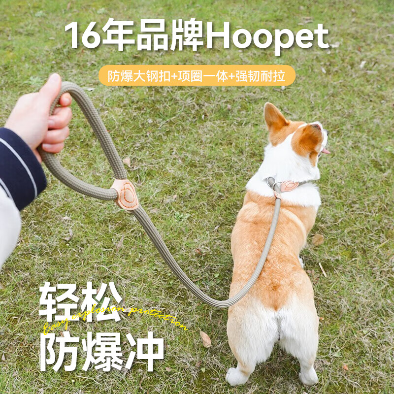 Hoopet 华元宠具 狗狗绳子防爆冲P绳狗链子牵引绳胸背带大型小中型犬防挣脱