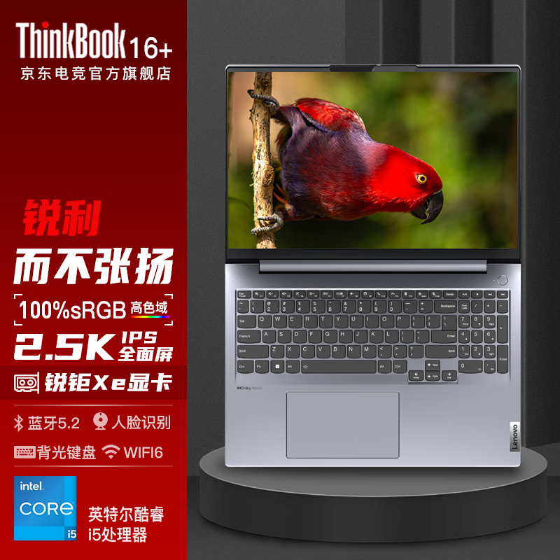 ThinkPad 思考本 ThinkBook 16+ 2022款 十二代酷睿版 16.0英寸 轻薄本 银色（酷睿i5-1