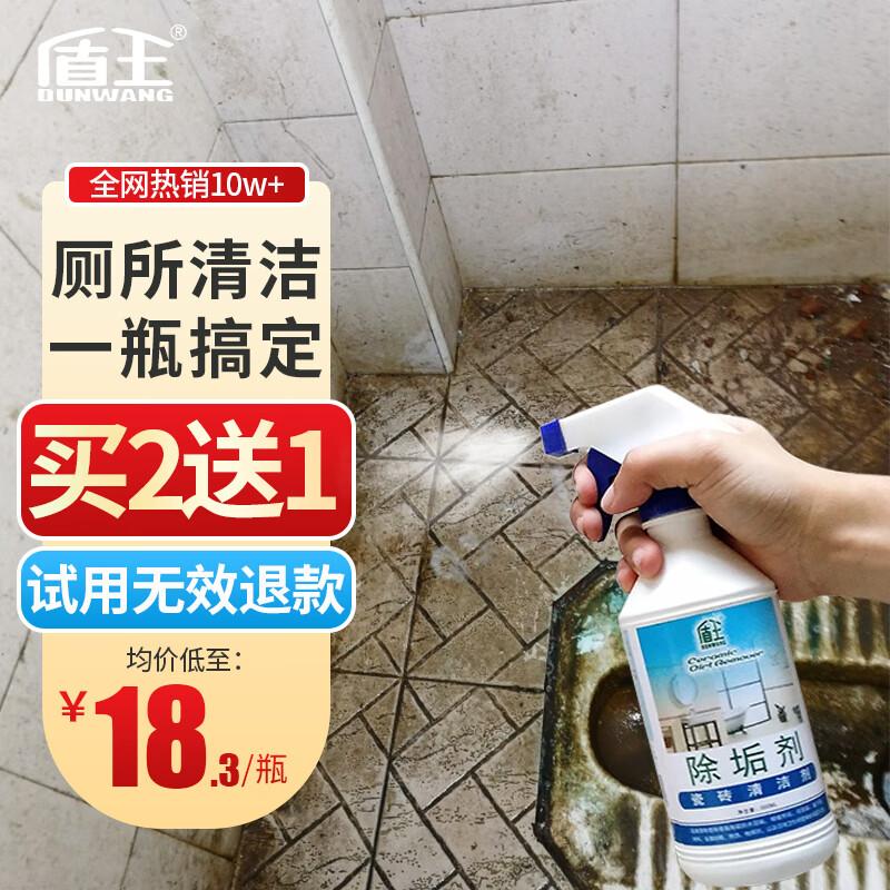 盾王 瓷砖清洁剂 地板强力去污 多功能浴室卫浴家用清洗剂 厕所除垢剂 500ml
