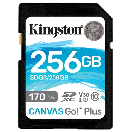 Kingston 金士顿 SDG3系列 SD存储卡 256GB（USH-I、V30、U3） 179元（需用券）