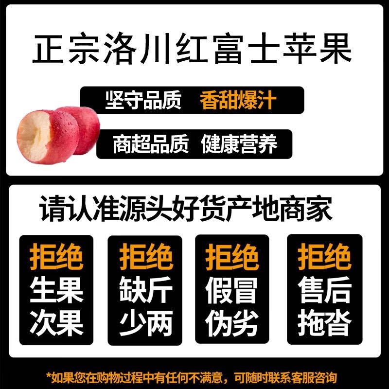 中国地标 陕西延安洛川红富士苹果新鲜当季脆甜冰糖心时令水果 洛川精选