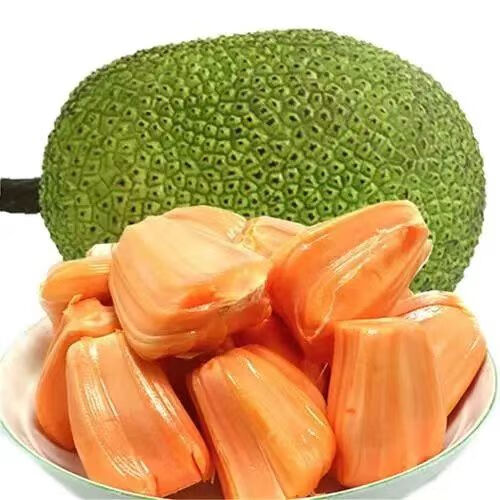 惜音 越南进口 红肉菠萝蜜 8-10斤一整个 62.6元（需用券）
