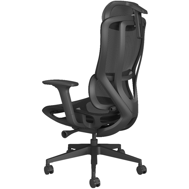 PLUS会员：ENOVA 时尚家撑腰椅人体工学椅 电脑椅 真本色（3D扶手+四挡调节腰