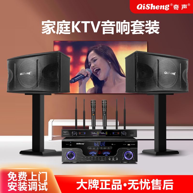 QiSheng 奇声 T10家庭ktv音响套装全套家用家庭影院客厅卡拉OK蓝牙组合音箱 365