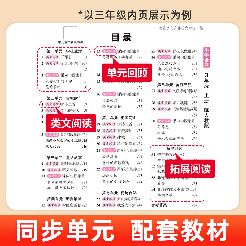 2025春王朝霞同步阅读训练活页阅读理解一二三四五六年级下上册语文专项训