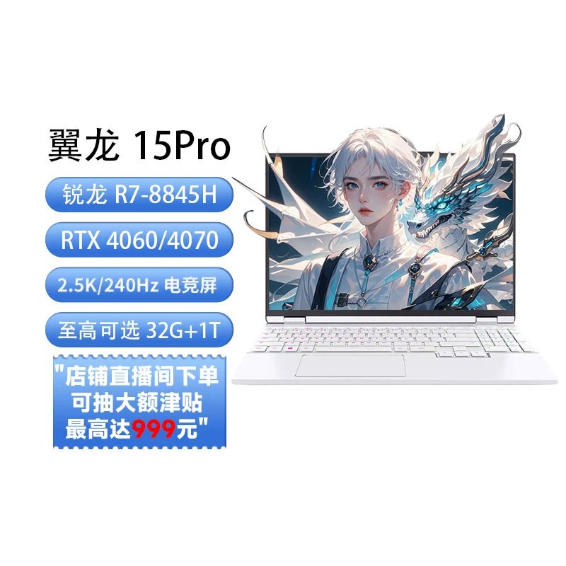 机械革命 翼龙 15Pro 15.3英寸游戏本（R7-8845H、16GB、1TB、RTX 4060） ￥5839.2