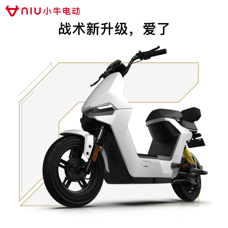 Niu Technologies 小牛电动 F100动力版新国标电动自行车 锂电池 两轮电动车 到店