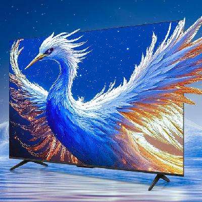 再降价、PLUS会员：FFALCON 雷鸟 鹤6 25款 液晶电视 55英寸 MiniLED 55S595C 1878.88元