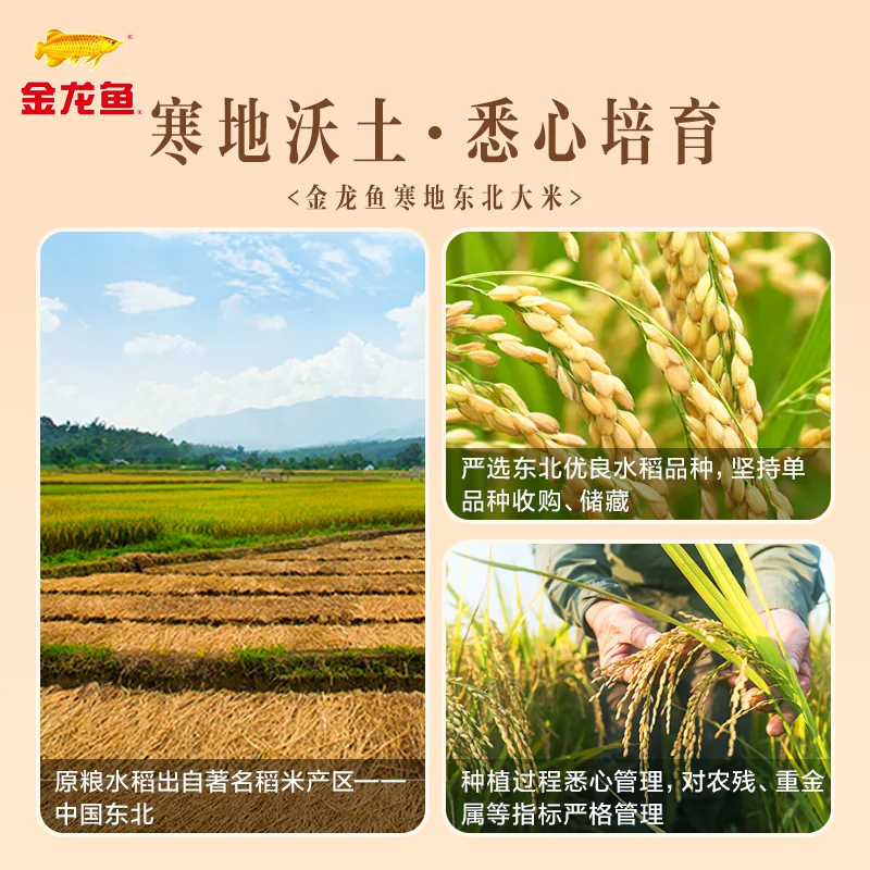 金龙鱼 寒地东北大米 5kg*4袋 77.71元 - 美泡泡