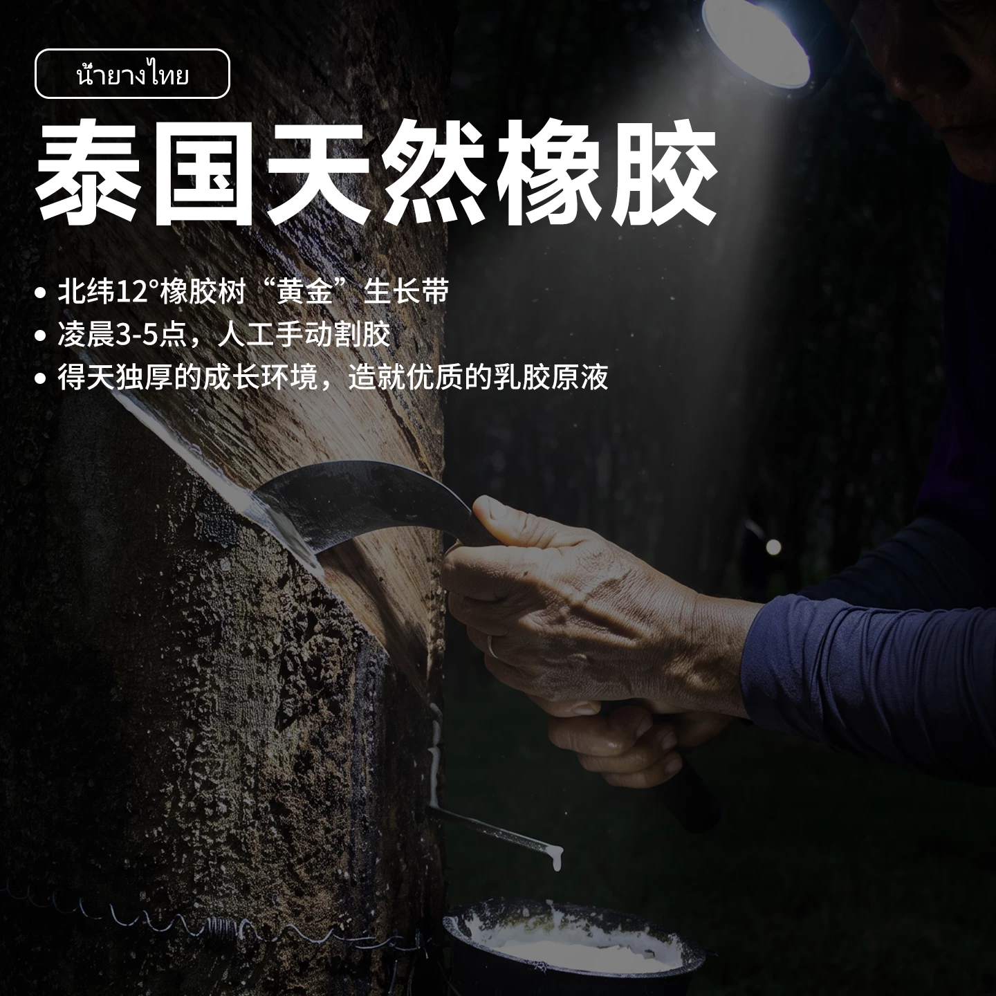 8H RM 天然乳胶床垫 900mm*1900mm；[RM Pro]3cm厚|93%泰国进口天然乳胶|带内外套 329.8元 - 线报酷