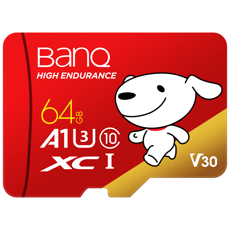 banq&JOY联名款 64GB TF高速款行车记录仪&监控 19.9元