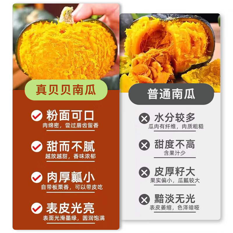 京觅 山东贝贝南瓜 净重5斤 单果200g+ 板栗香小南瓜 源头直发 山东贝贝南瓜净重 5斤 装 11.3元 - 清风线报