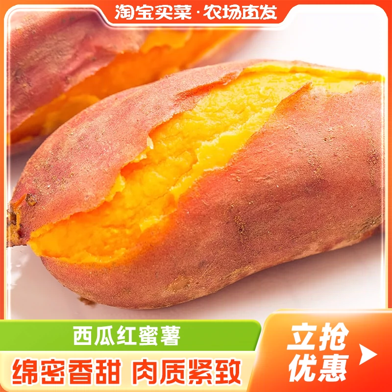 西瓜红蜜薯中果3斤 ￥9.9