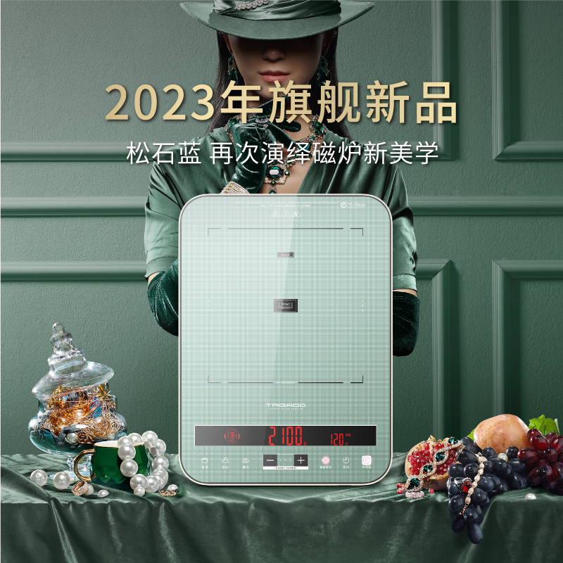 Taigroo 钛古电器 钛古点纹面板电磁炉智能电磁灶家用正品官方旗舰店 399元（