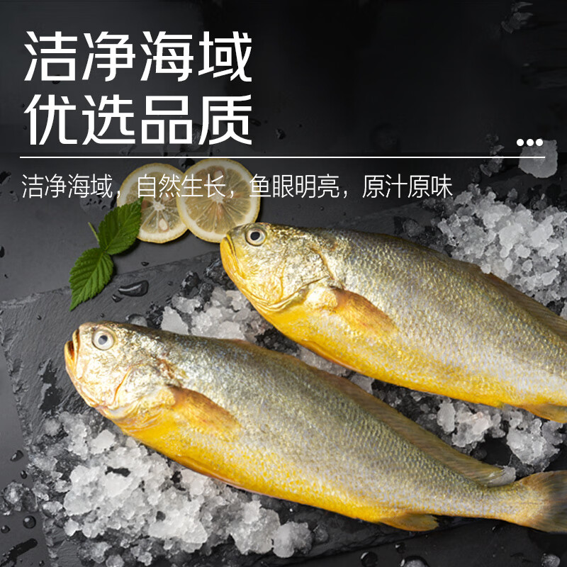 鲜京采 冰鲜黄鱼400g*4条(净重1.6kg) 宁德特产 地标源头直发 60.8元