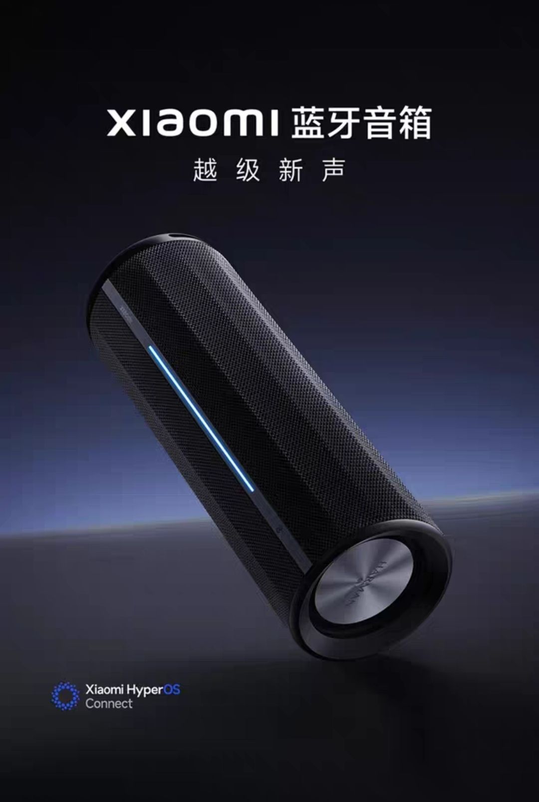 Xiaomi 小米 蓝牙音箱 2024款哈曼卡顿调音 499元