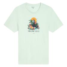 Plus会员:班尼路 Baleno 椰树印花纯棉短袖t恤*3件 50.16元（合16.72元/件）