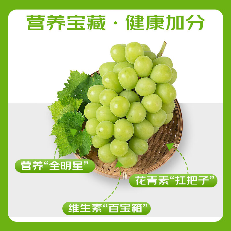 京鲜生 云南阳光玫瑰 净重2.8-3.3斤 单果8-10g葡萄/提子 源头直 19.9元