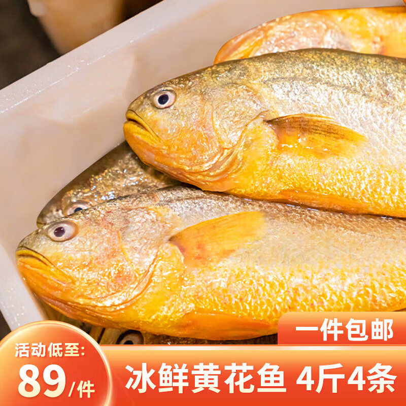 鸿顺 黄花鱼4条4斤 生鲜鱼类 宁德大黄鱼 源头直发 68.5元