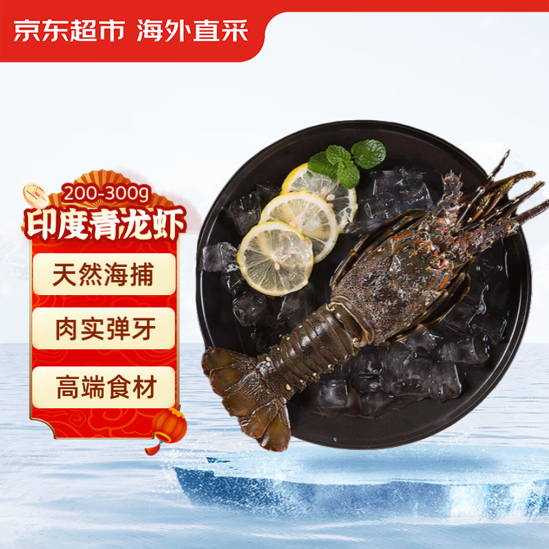 京东超市 冷冻青龙虾/小青龙 200-300g/只 盒装 高端海鲜食材 70.9元（需买2件