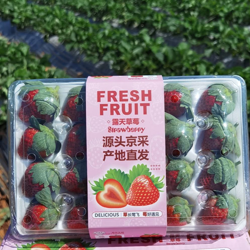 再降价、3日0点开始：京鲜生 奶油草莓1.4kg 大果 单果约20g 66.9元包邮（需用