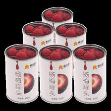 沂蒙咯嘣脆 杨梅罐头整箱糖水杨梅砀山应季新鲜水果罐头零食甜品 425g* 6 罐