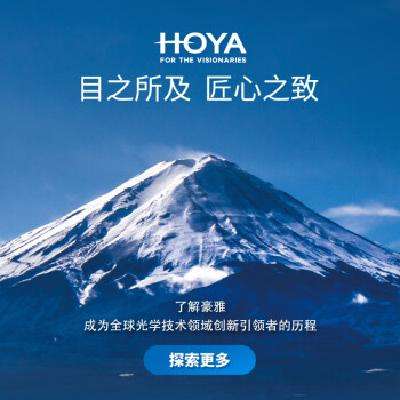 plus会员：HOYA 豪雅 1.60 (较薄) 非球面单焦点镜片高清VP膜(现片) 2片装 520元包